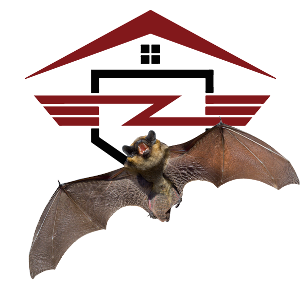 bat image wildlife removal and trapping reynoldsburg, oh