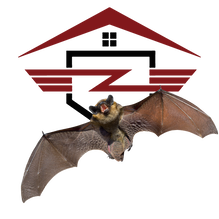 Bat Removal New Albany