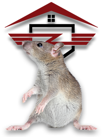 rat image with logo rodent control reynoldsburg, oh