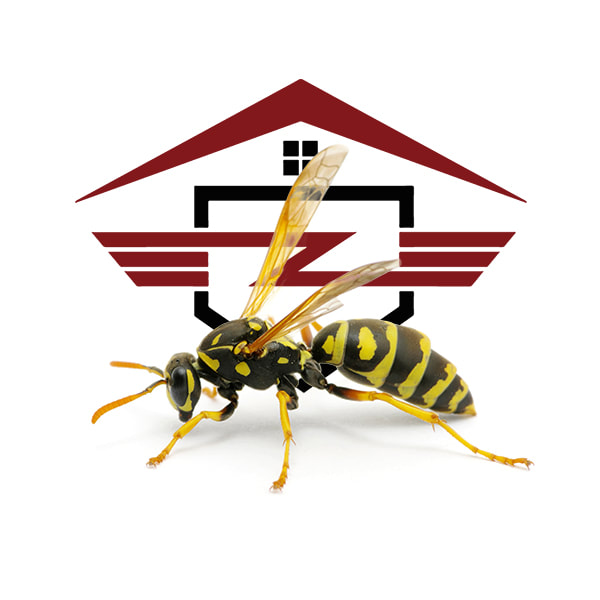 Stinging Insect Exterminators Jersey